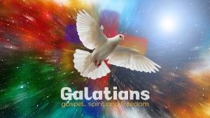 Galatians - 1000